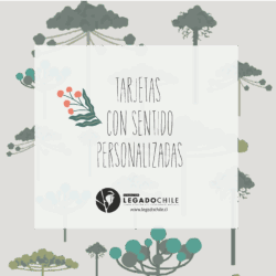 Tarjetas con sentido