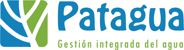 Logo Patagua